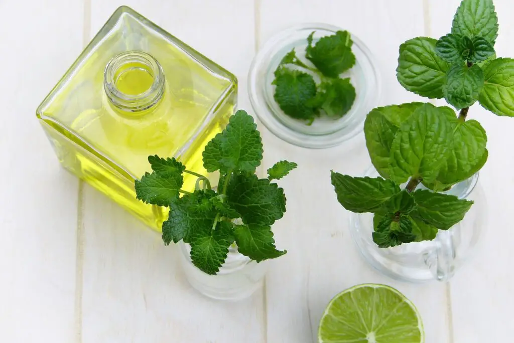 the Right Facial Oil for Your Skin Type